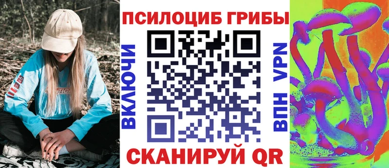 дарнет шоп  Фрязино  Галлюциногенные грибы MAGIC MUSHROOMS 